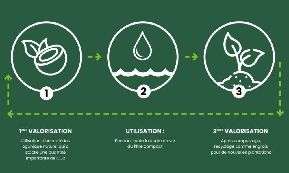 Le cycle de vie fibre de coco